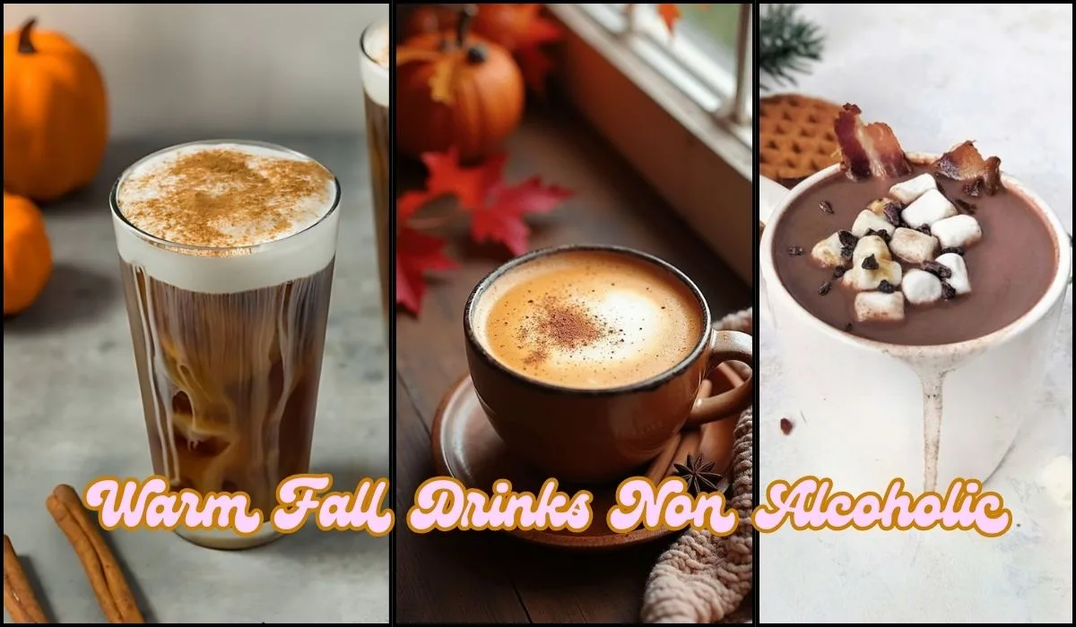 Warm Fall Drinks Non Alcoholic